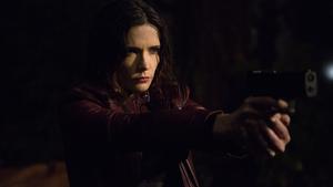 Grimm Temporada 4 Episódio 10