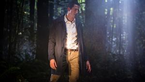 Grimm Temporada 2 Episódio 13