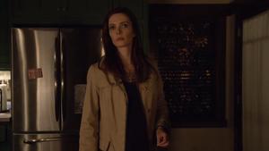 Grimm Temporada 2 Episódio 15