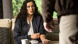 Grimm Temporada 3 Episódio 11