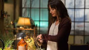 Grimm Temporada 3 Episódio 10