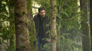 Grimm Temporada 6 Episódio 11