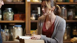 Grimm Temporada 1 Episódio 17