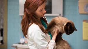 Grimm Temporada 1 Episódio 22