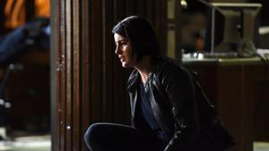 Grimm Temporada 6 Episódio 13