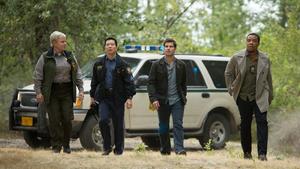 Um prato que se come frio