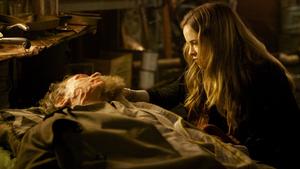 Grimm Temporada 1 Episódio 14