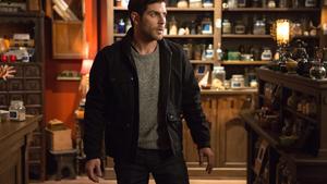 Grimm Temporada 4 Episódio 8