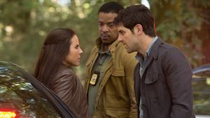 Grimm Temporada 2 Episódio 9