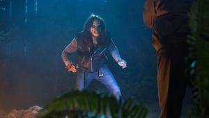 Grimm Temporada 3 Episódio 13