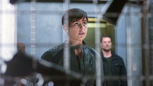 Grimm Temporada 5 Episódio 8