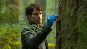 Grimm Temporada 1 Episódio 7