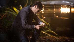 Grimm Temporada 2 Episódio 13
