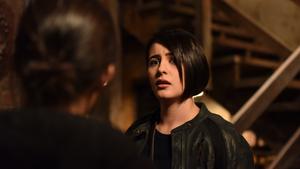 Grimm Temporada 6 Episódio 12